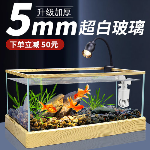 2025新款生态溪流缸客厅小型南美造景全套桌面龟缸超清玻璃金鱼缸