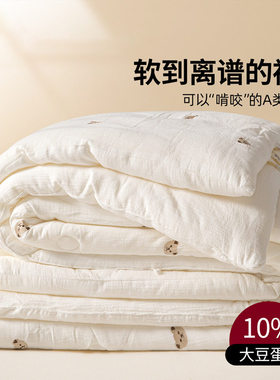 2025 summer quilt/comforter/blanket/quilts/duvet /blankets