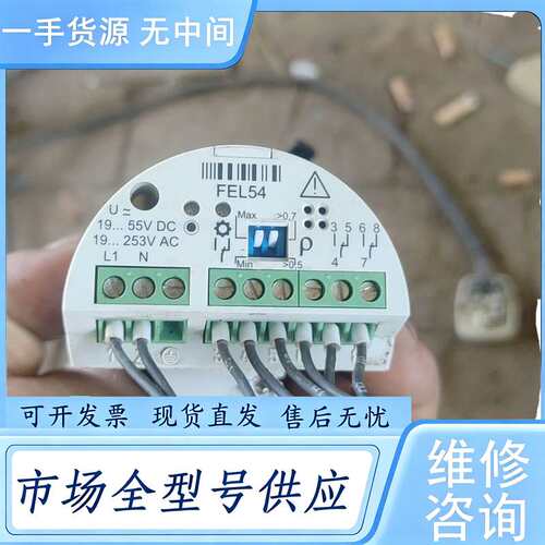 请询价--E+H恩德斯豪斯音叉液位开关，FEL54模块，件，实