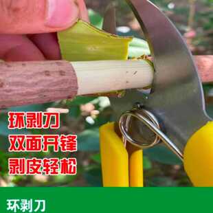 果树环割环剥剪柑桔葡萄柚子苹果不锈钢快速环剥树枝园林绿化剪刀