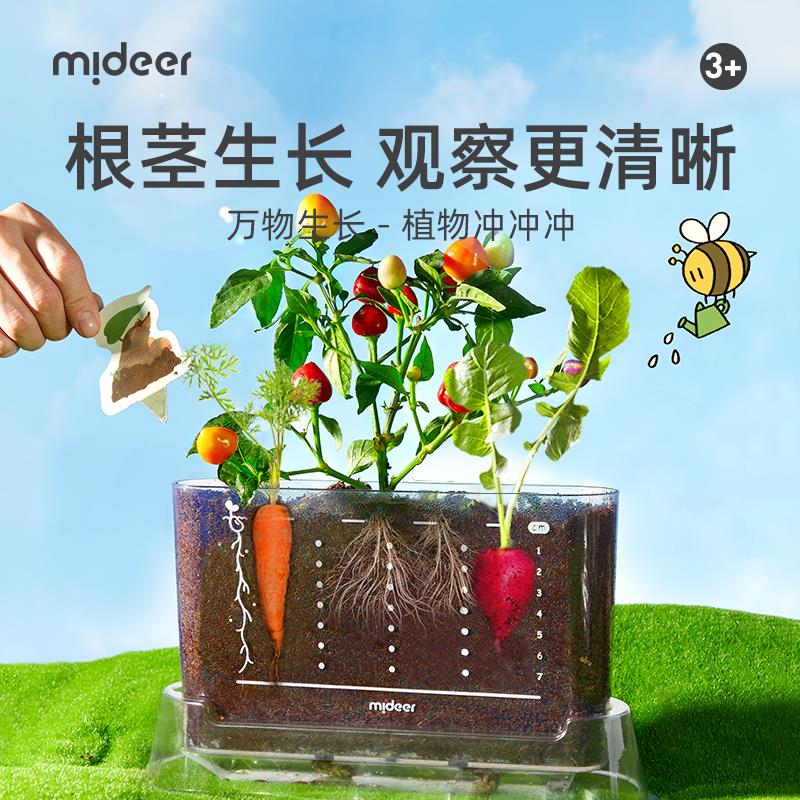 mideer弥鹿种植观察盒儿童科学植物生长阳光房玩具六一儿童节礼物