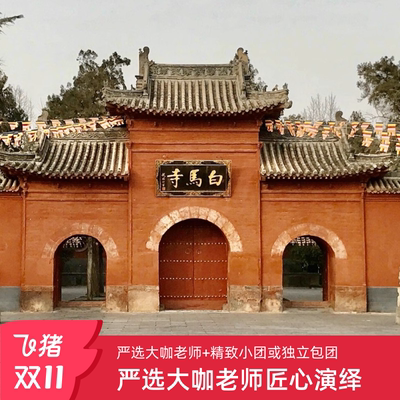 白马寺门票+1～2.5小时真人讲解+严选大咖老师+精致小团或独立包