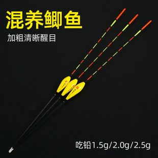 浅水短漂溪流鲫鱼近视加粗尾高灵敏黑坑混养翻身快枣核型超清晰