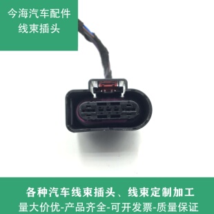 大众 新宝来 朗逸 途观 斯柯达 明锐 新帕萨特汽油泵总成插头