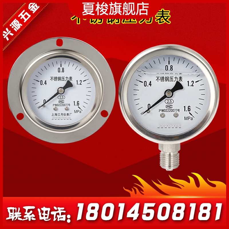 Y40 Y50 Y60 YN100不锈钢耐震压力表 径向/轴向带边 2.5/4.0/6MPa