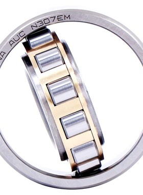 圆柱滚子轴承N304 N305 N306 307 308 309 310 311 312 313 314EM