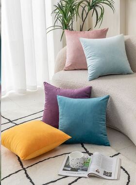 Throw pillow sofa back cushion cover velvet Pillow case抱枕