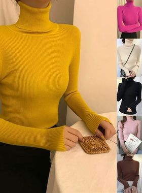 Winter Turtleneck Women's Sweater Knitted Pullover Soft Slim