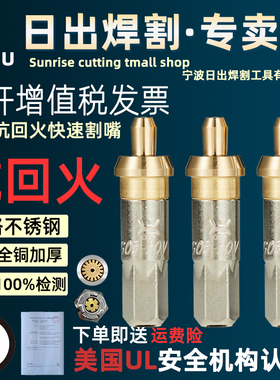 日出割嘴抗回火G01-30/100割咀氧气乙炔割枪煤气丙烷梅花配件氧割