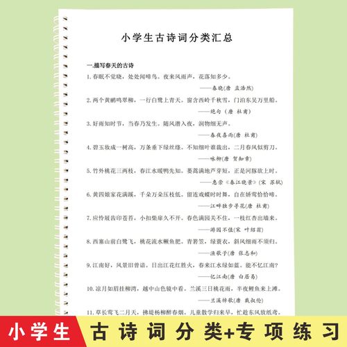 小学生语文小升初古诗词分类汇总积累归纳总结练习本