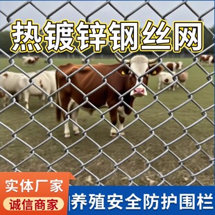 热镀锌铁丝网围栏网不锈钢丝网格家用防护栏网勾花网户外栅栏养殖
