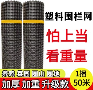 加厚塑料网围栏网养殖网拦鸡鸭网护栏网隔离网菜园果园鱼塘防护网