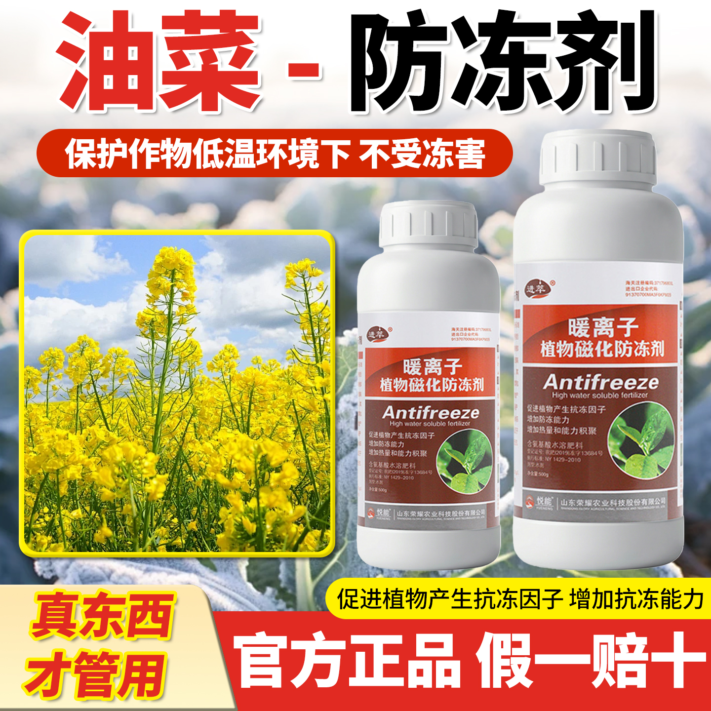油菜防冻剂植物防冻剂防寒抗冻液抗寒缓解冻害果树蔬菜叶面肥料药