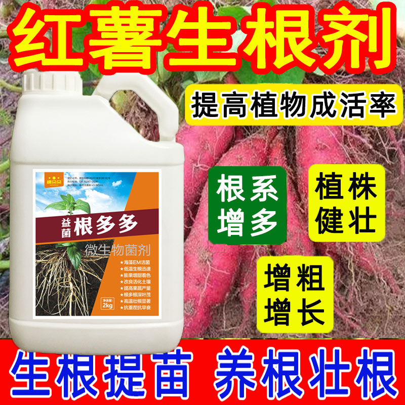 【红薯生根剂】【根多苗旺】