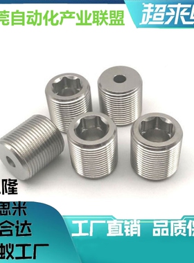 LVWM/LVFWM12/16/20/24/30-10/15/20/25/30/35/40镍调整螺栓PAF02