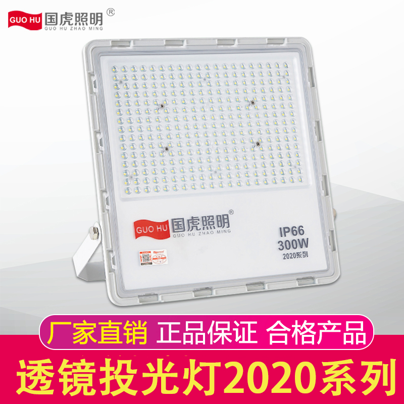 国虎照明室外灯防水led庭院灯超亮强光投光灯节能低耗投射灯墙灯