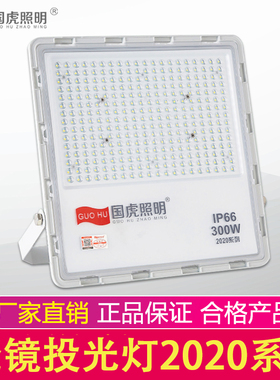 国虎照明室外灯防水led庭院灯超亮强光投光灯节能低耗投射灯墙灯