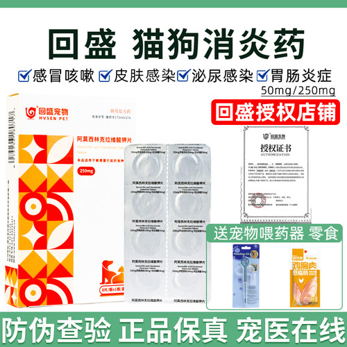 回盛宠物猫咪狗感冒药咳嗽猫鼻支