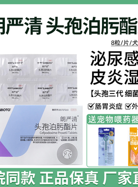 朗博特朗严清沃贝舒惠中动保康宠泊宁头孢泊肟酯片宠物猫狗消炎