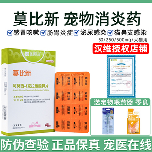 汉维宠仕莫比新阿莫西林克拉维酸钾猫咪鼻支狗感冒药莫比新消炎药