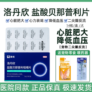 洛丹欣宠物狗狗猫咪缓解慢性肾衰心脏肥大厚性心脏病降压药
