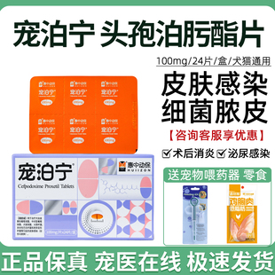 宠泊宁头孢泊肟酯片宠物猫狗感冒咳嗽呼吸道皮肤泌尿感染惠中动保