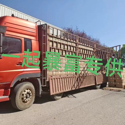 机1FT7105-5AC70-1DB0ZN051FT7105-5AC70-1DB01FT7105-5AC71-1DB0