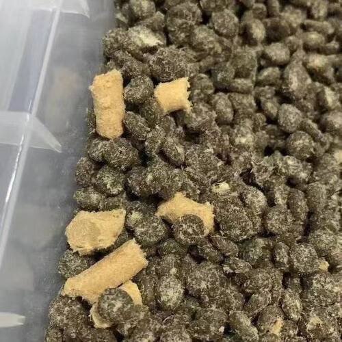 猎鸟乳鸽猫粮冻干骨肉增