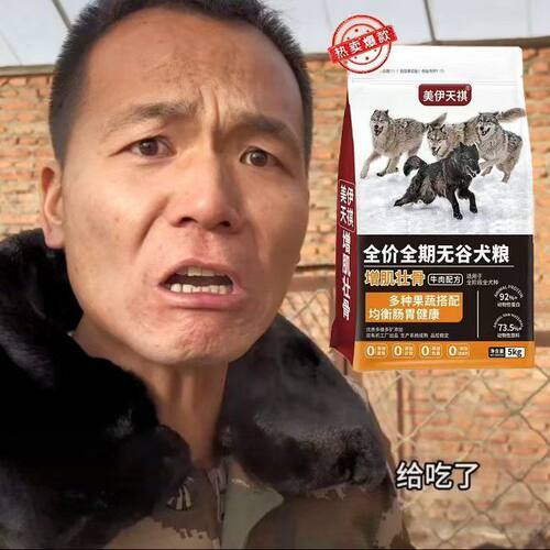 潘宏爱玩狗美伊天祺潘虹