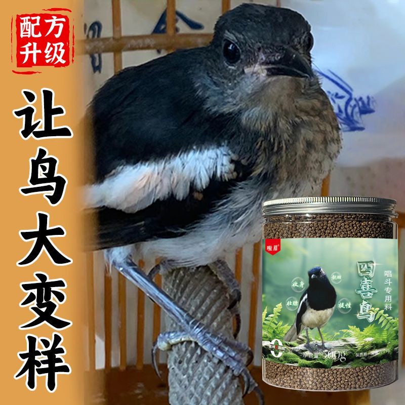 四喜鸟食【唱不停】催鸣