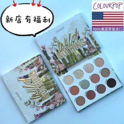 美版Colourpop卡拉泡泡colorpop12色仙人掌眼影盘WildNothing新品