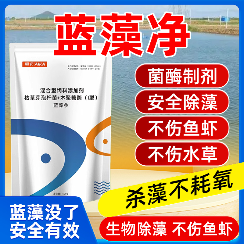 蓝藻净菌+酶双效合一水产养殖
