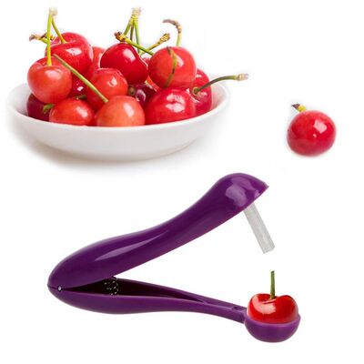 Cherry Olive Pitter Stoner Stone Pit Seed Remover Easy Squee