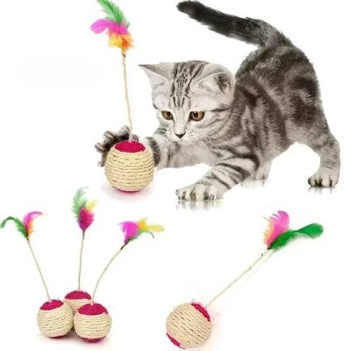 1PcCatToySisalrhing