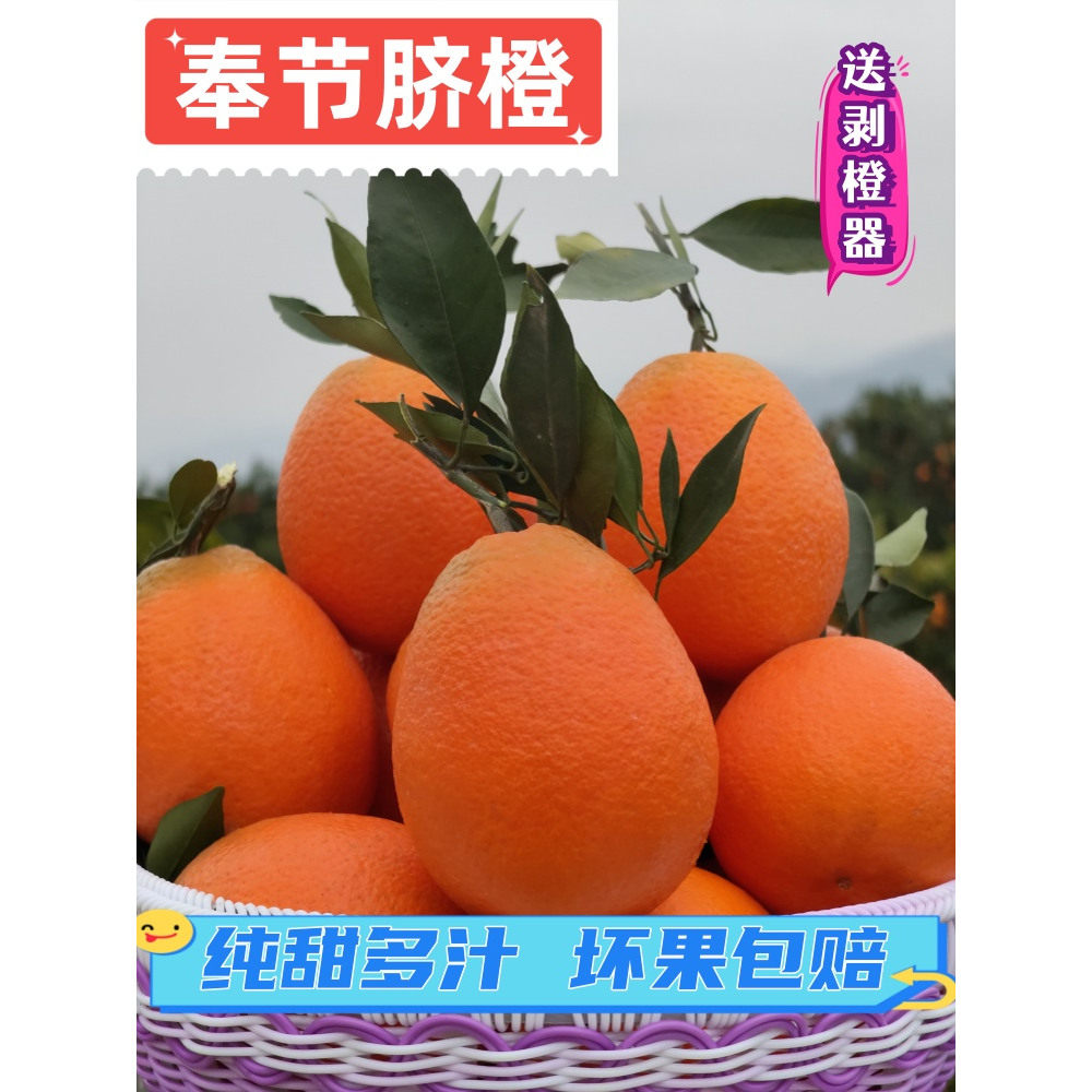 正宗奉节脐橙椭圆形品种5斤包邮现摘带橙子应季新鲜水果,水产肉类/新鲜蔬果/熟食,橙,淘宝优惠券,粉丝福利购,淘宝优惠卷