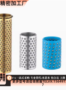 替C-SSBGS米斯米滚珠滑套 BGS-3-4-5-6-8-10-12-10-15-20-30-40