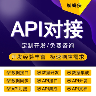 API数据接口开发数据对接数据集成数据同步SDK开发包软件定制开发