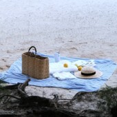 迷你野餐垫日系ins蓝白条纹野餐布防潮地垫防水海边沙滩布便携