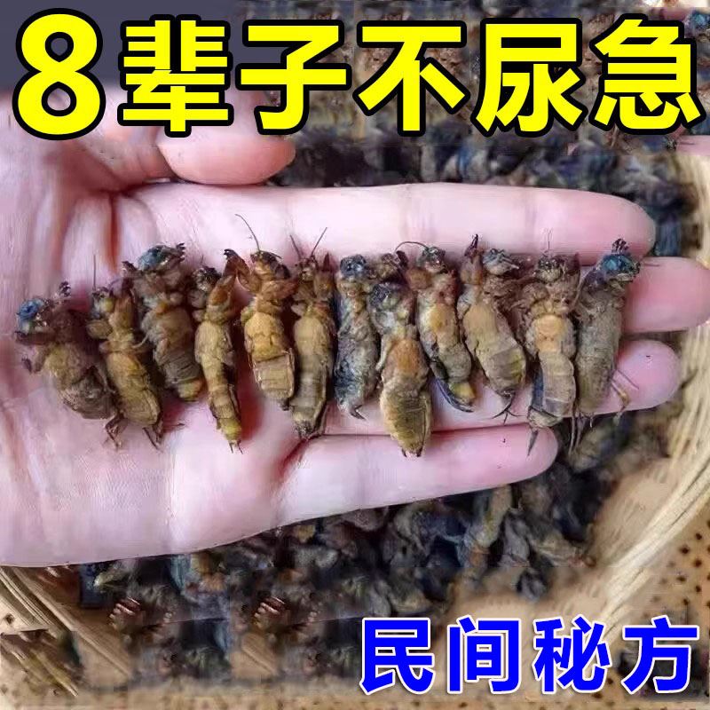 【60如20岁】益肾固精持续增大增长二次发育老当益壮快速补充SS