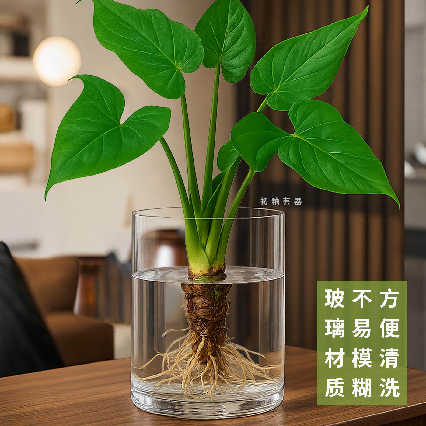 滴水观音龟背芋专用水培器皿大口径花瓶玻璃水培绿植高4030cm宽口