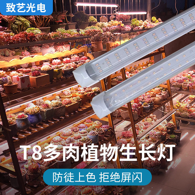 多肉补光灯T8全光谱室内