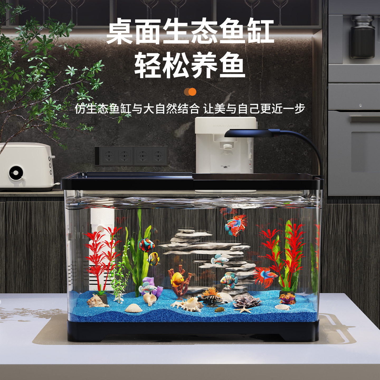 鱼缸客厅中小型生态金热