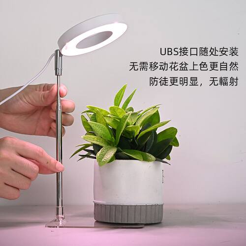 伸缩杆植物多肉补光防徒