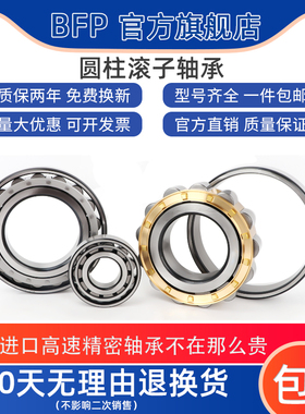 进口BFP圆柱滚子轴承NUP1004 1005 1006 1007 1008 1009EM C3