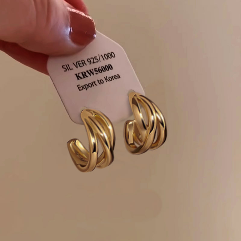 轻奢金属感耳环2025新款爆款高级