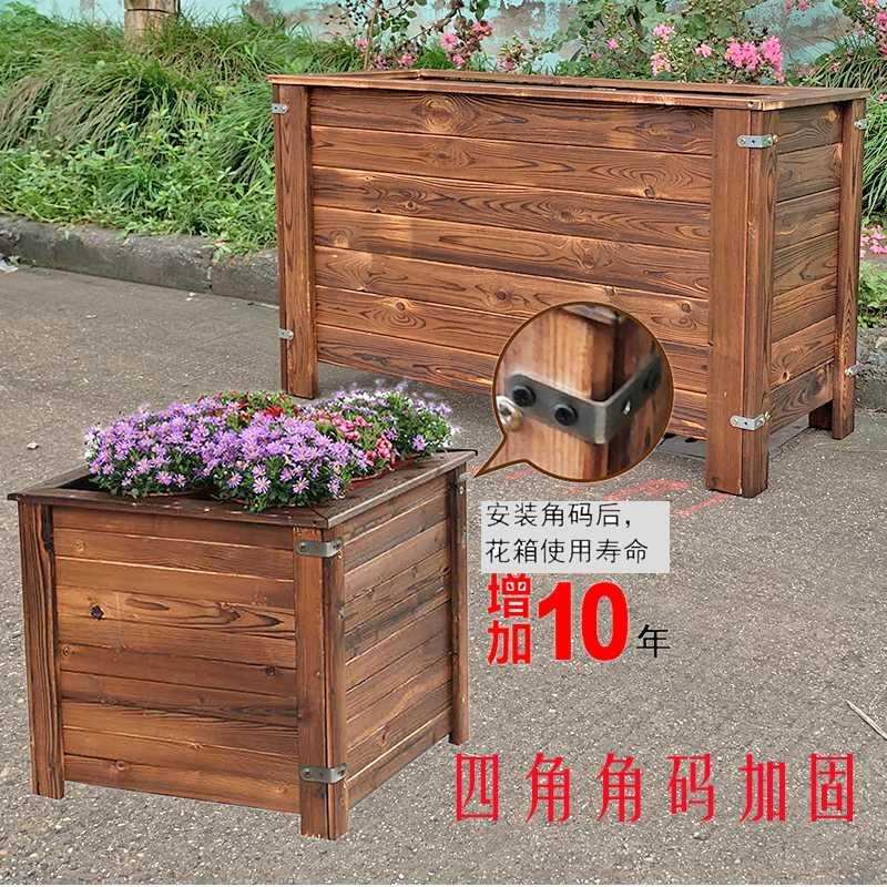 在家种花价格 在家种花图片 星期三