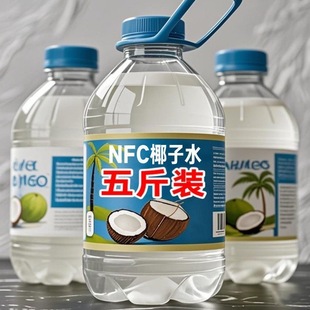 2大瓶天然电解质饮品整箱果香夏季 100%椰子水1.25L 五斤装