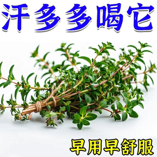 出汗多一动就出汗爱出虚汗成人儿童盗汗丸立停手脚调理额头止汗茶