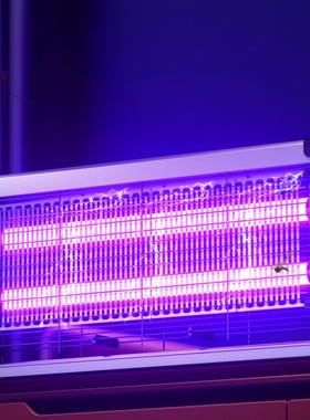 Electric Indoor Insect Killer, Bug Zapper, Fly , Mosquito