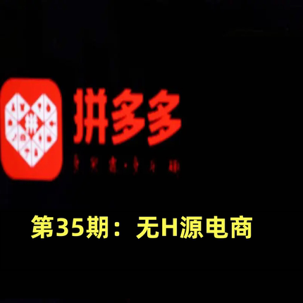 货拼多多第35期无H源电商，原创实操技术+高阶更新，保姆级教程